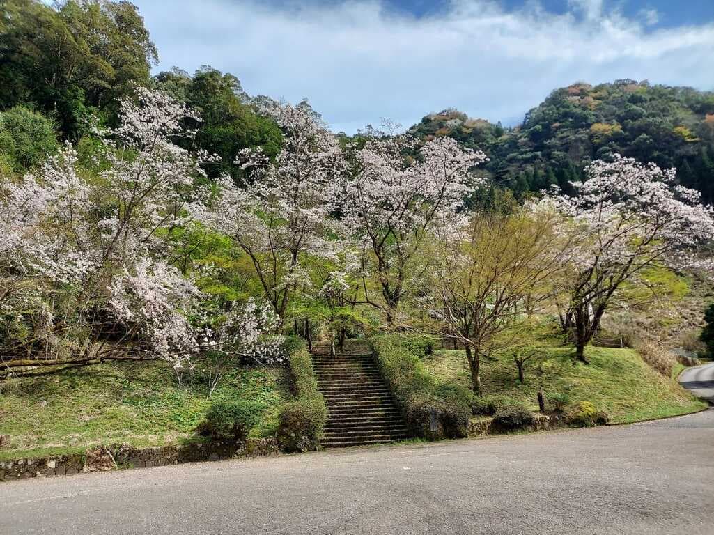 おせりの滝キャンプ場 - 春は桜、初夏には蛍の乱舞、夏は川遊び、秋は紅葉と四季を通じて楽しめるキャンプ場！