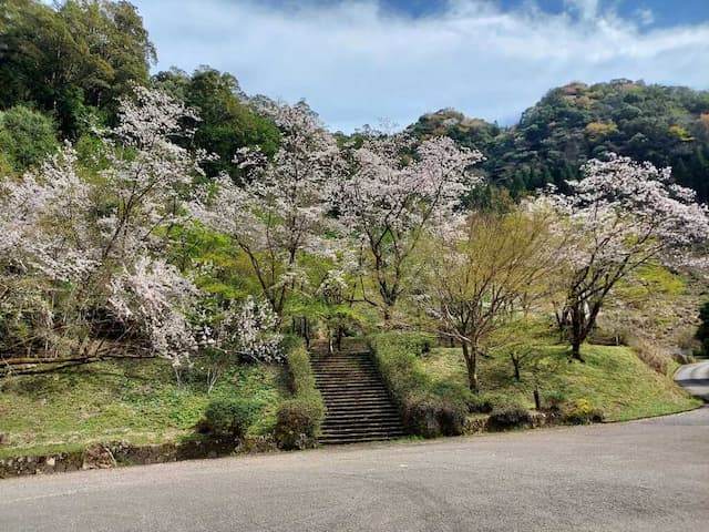 おせりの滝キャンプ場 - undefined