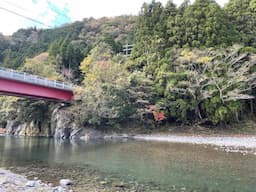 桑野橋河川公園(朽木キャンプ場) thumbnail 8