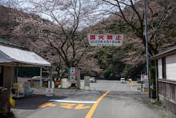 桑野橋河川公園(朽木キャンプ場) thumbnail 11