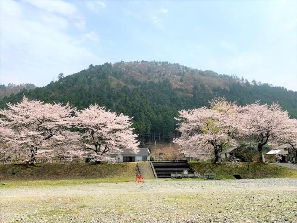 桑野橋河川公園(朽木キャンプ場) image 9