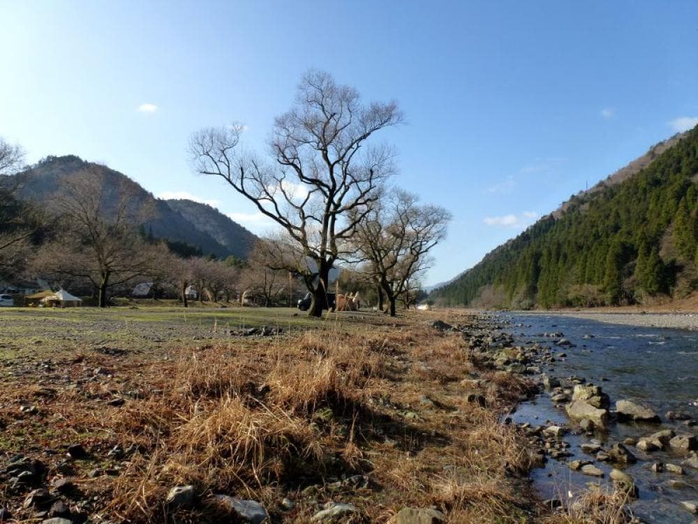 桑野橋河川公園(朽木キャンプ場) image 13