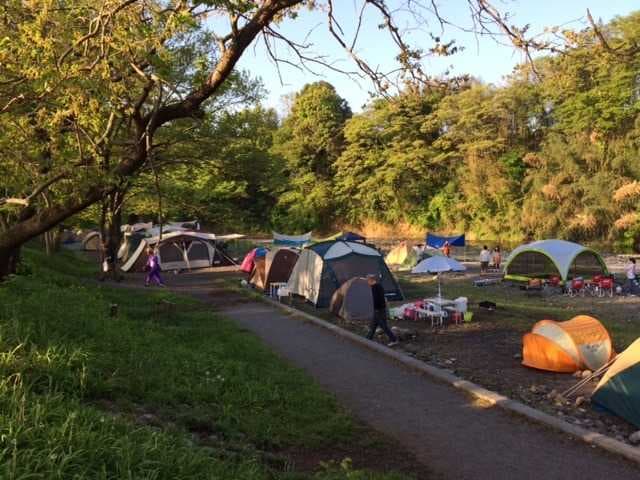 【R1/10現在休止中】巾着田キャンプ場 - 【R1/10現在休止中】高麗川の河畔の大きなキャンプ場