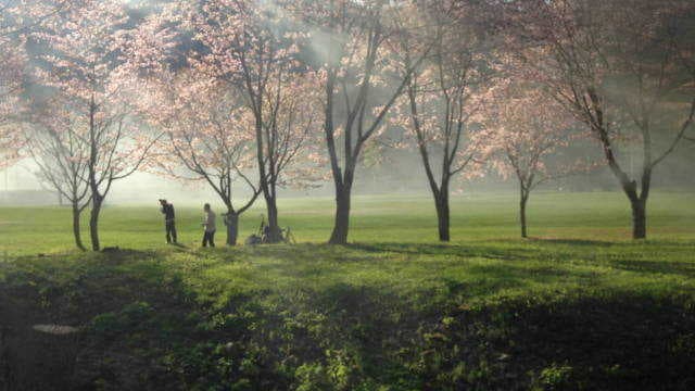 森林公園いこいの森オートキャンプ場 - ファミリーキャンプに最高です！！