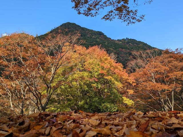 四季の山荘「求菩提」　求菩提キャンプ場