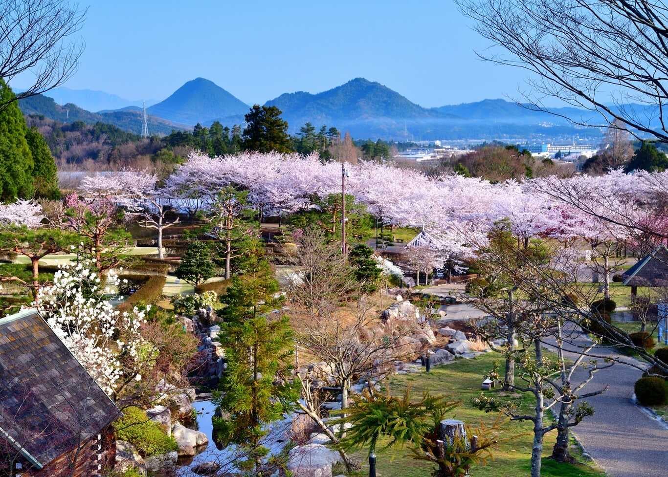 じゅらくの里キャンプ場