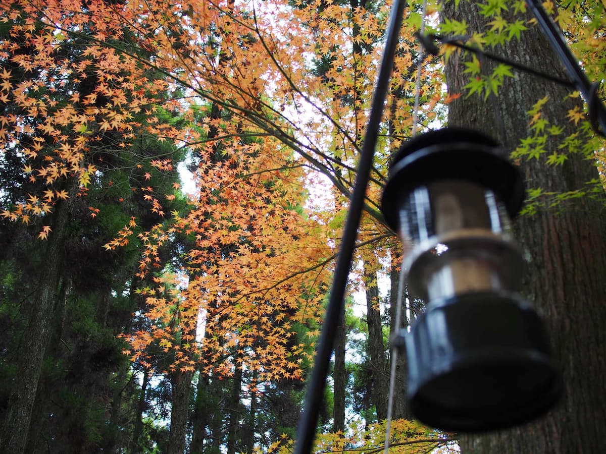 北山キャンプ場 - 北山湖畔で自然を感じる。