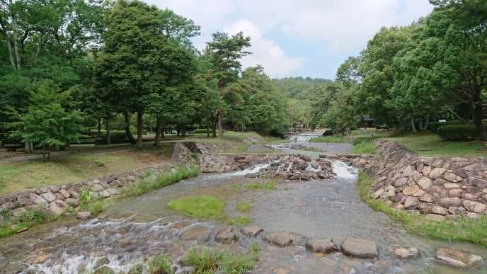 砂川公園 - 気軽に自然に親しめる、アウトドアが満喫できる公園！