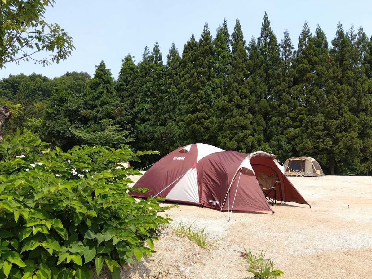 ながいピオニーの森 - キャンプ場や宿泊施設、花公園、日帰り温泉などの複合施設です