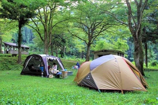 九頭竜国民休養地キャンプ場 - “森林浴の森百選”に選ばれた大自然の森の中にあるオートキャンプ場。