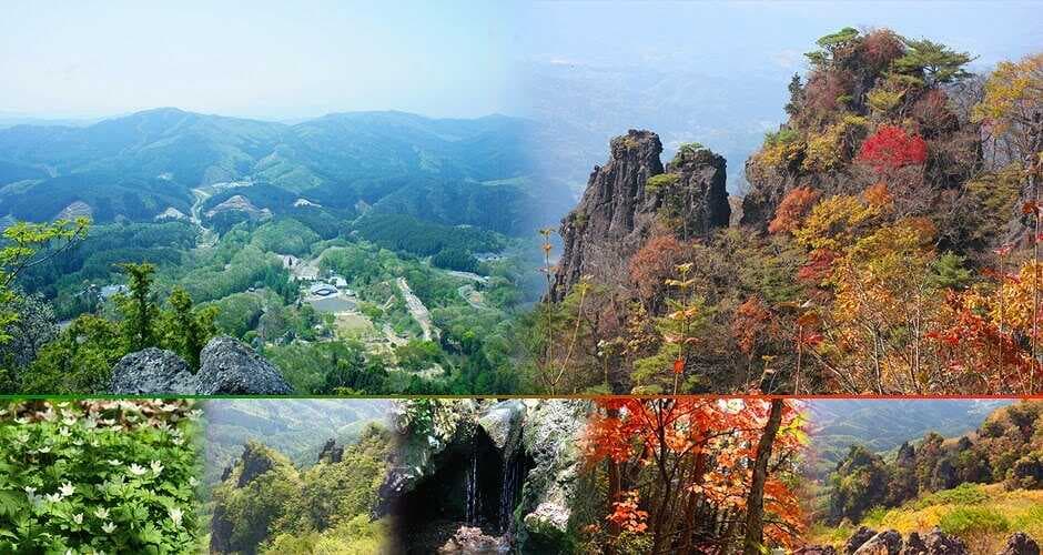 霊山こどもの村キャンプ場