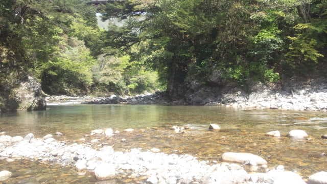 板取川温泉 コテージ湯屋 - 板取川温泉 コテージ湯屋