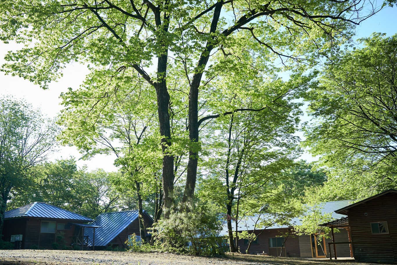 NASU SATOYAMA FIELD