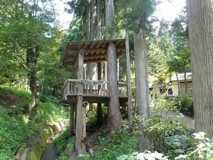 あそあその森キャンプ場 - 家族と、仲間と自然学習。名所“立山”の観光拠点としても最適♪