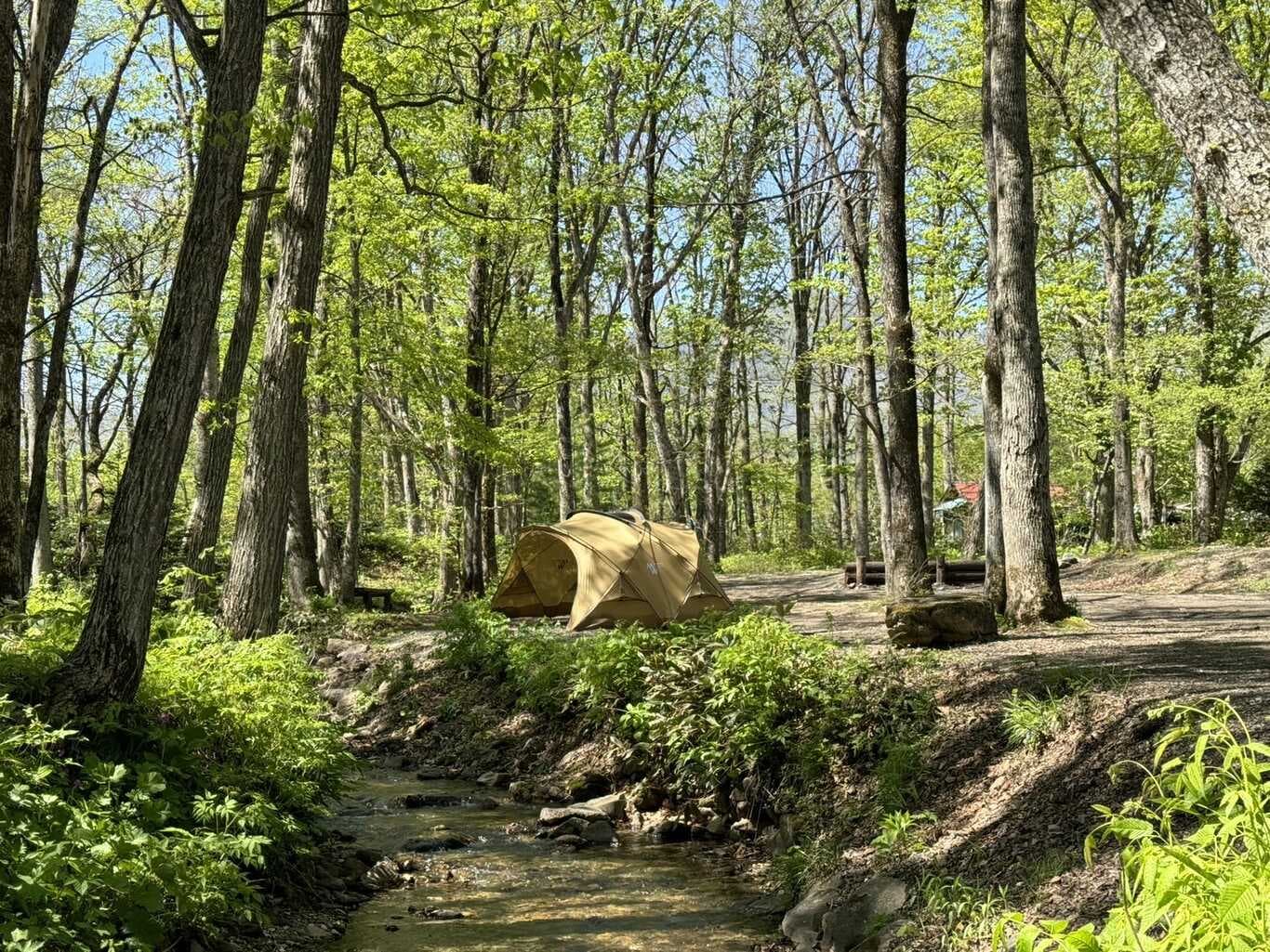 遊び小屋コニファー	