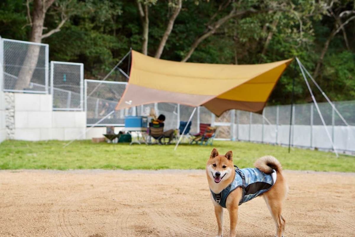 DRC.area WOLKEN - ここは四国香川県さぬき市の最北端。自然と食と犬を愛する楽園。