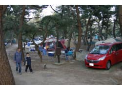 池田キャンプ場 - 池田キャンプ場