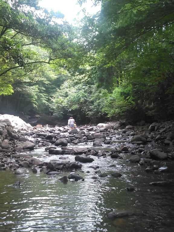 牧の原キャンプ場