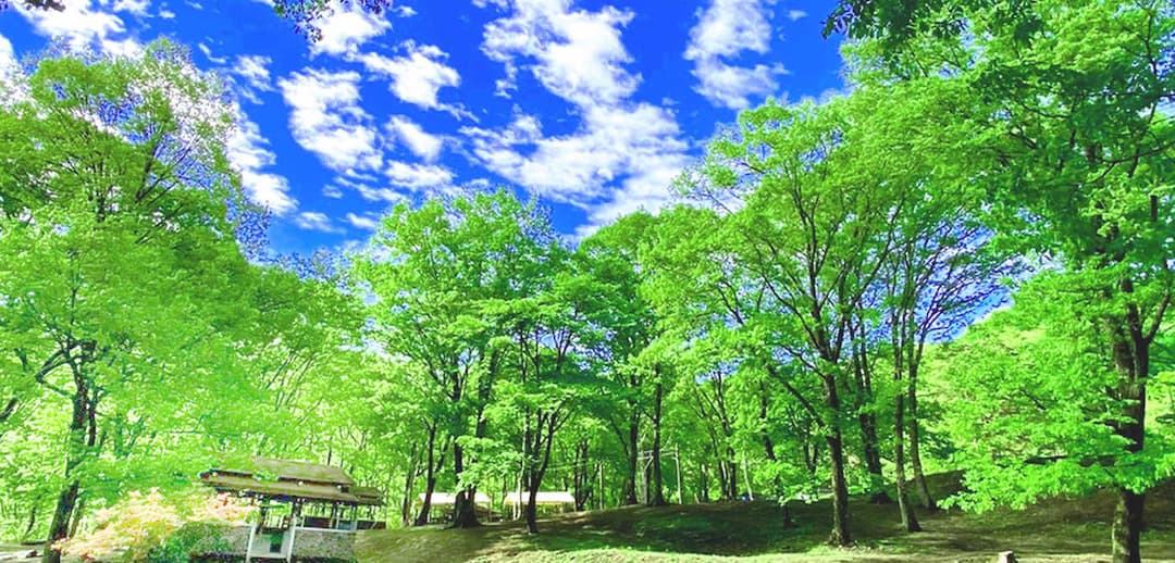 八風平キャンプ場 - 都心から2時間、軽井沢ICから2分！豊かな森の高原キャンプ場でゆったり過ごして、身も心もリフレッシュ！