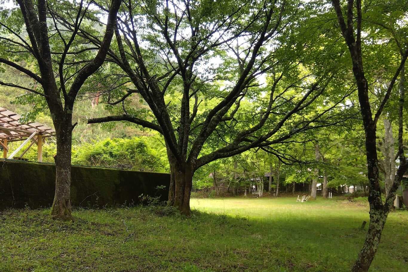 桝源フォレスト・イン洞川キャンプ場