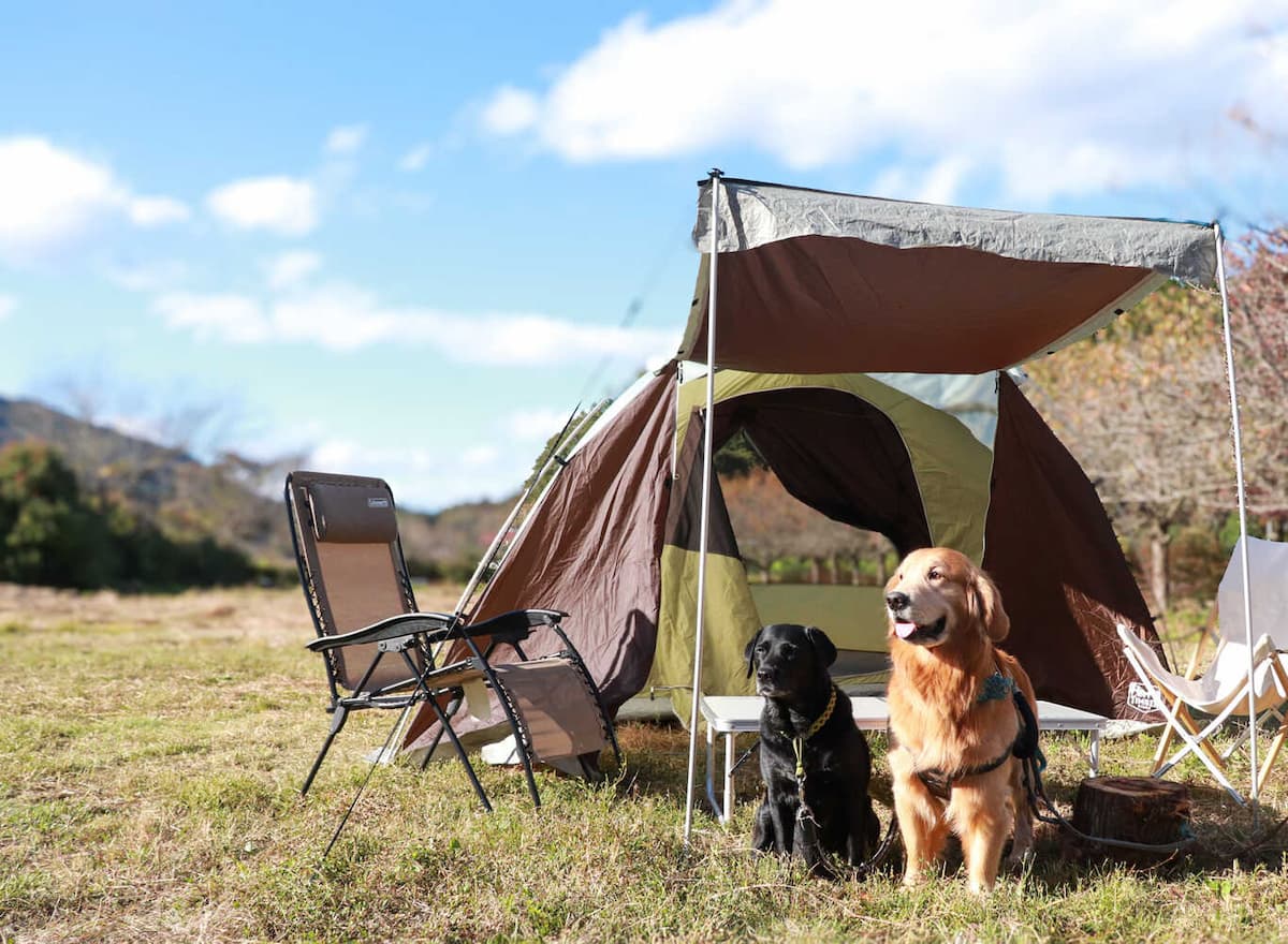 月舘オートキャンプベースSAKURA - 初心者キャンパー・犬連れキャンパー必見のオートキャンプ場が2024年4月にオープン♪