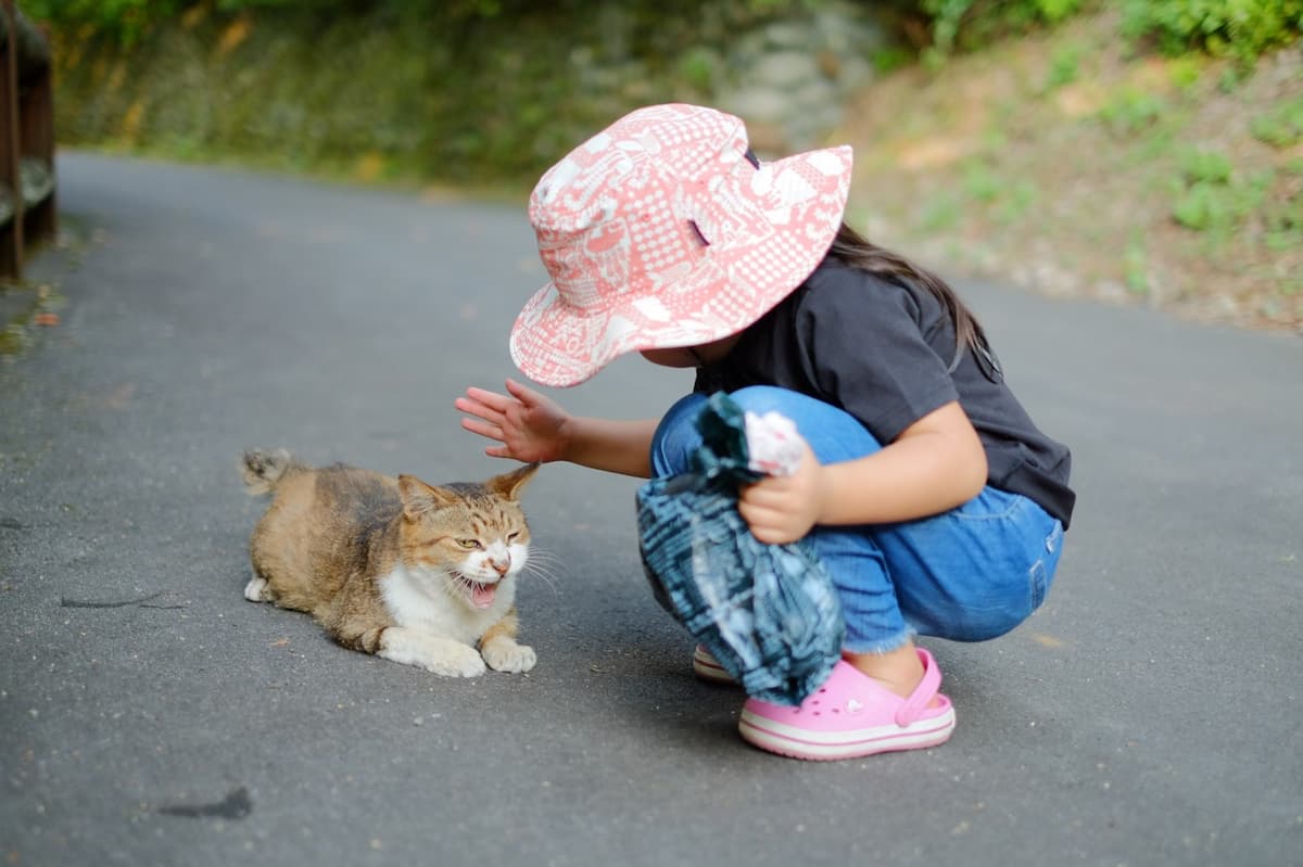  夕やけ小やけふれあいの里 - ご家庭、職場の小グループでのキャンプに最適です。