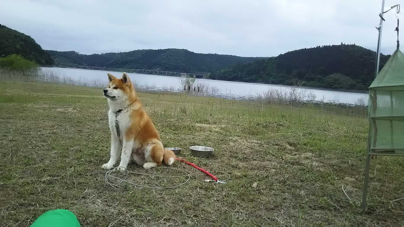 花山青少年旅行村