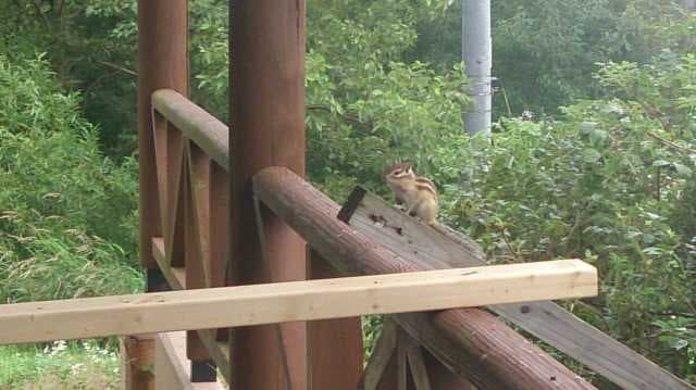 【H28/７月現時点　閉鎖中】しれとこ自然村