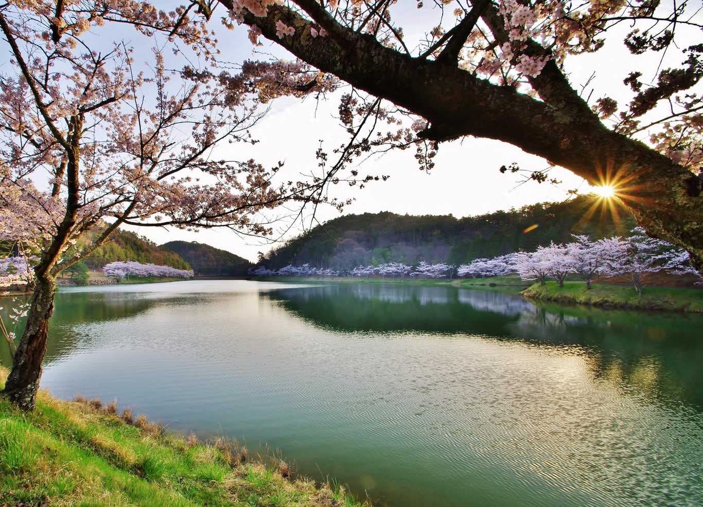 羽高湖森林公園キャンプ場