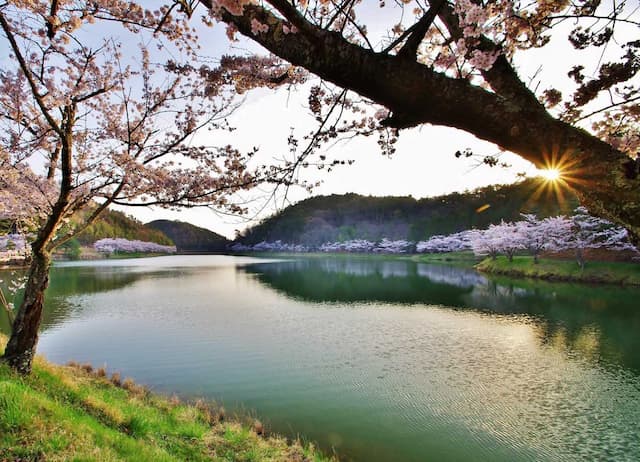 羽高湖森林公園キャンプ場 - undefined