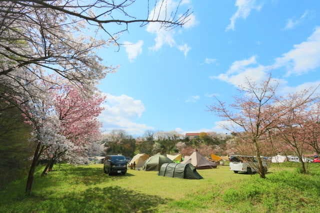 雲南市健康の森（キャンプ場） - 車乗り入れペットもOK!