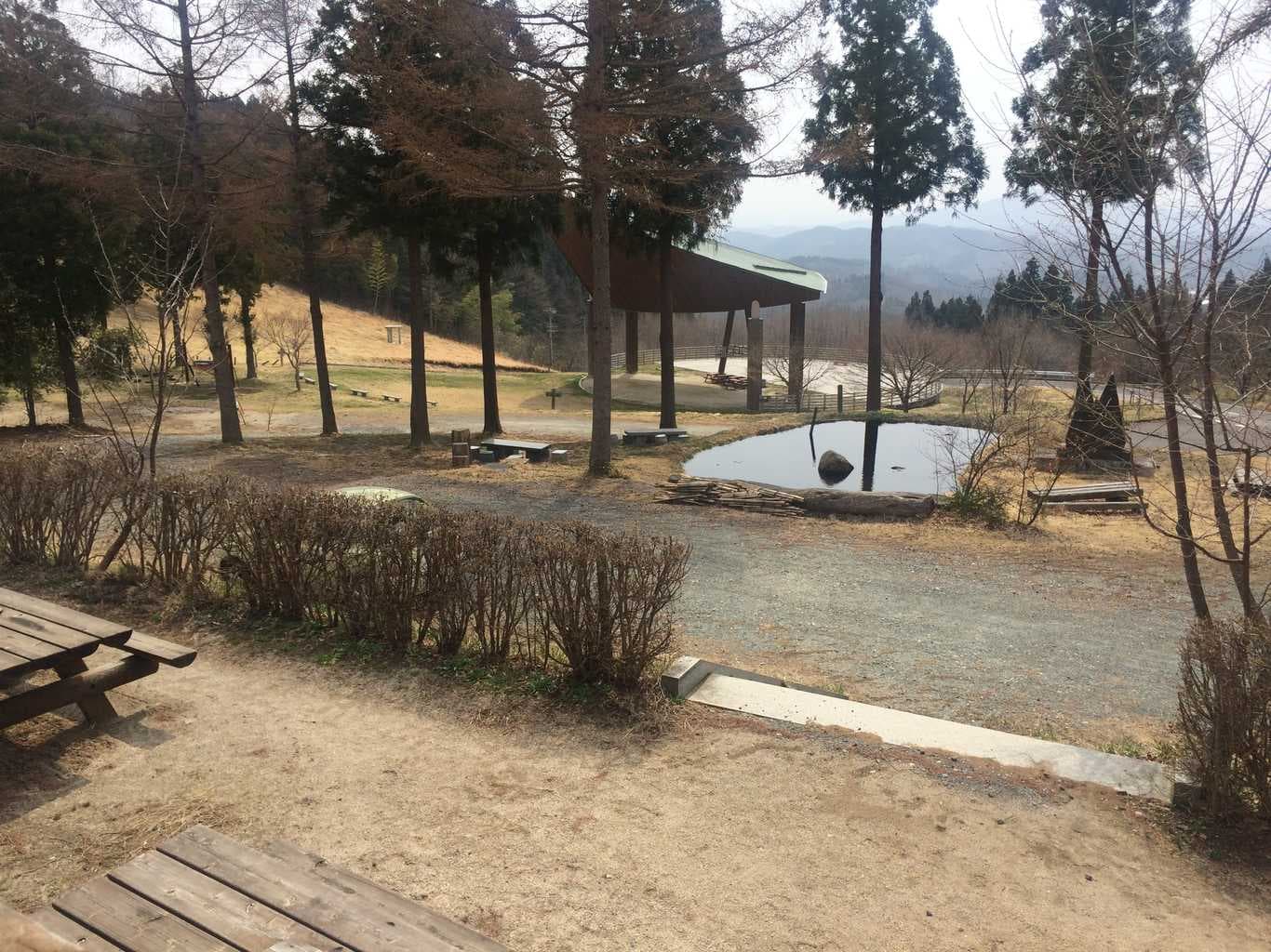 緑とのふれあいの森公園