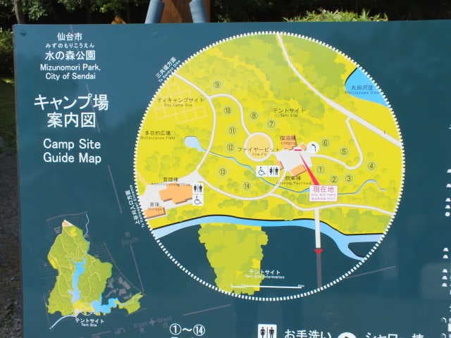 水の森公園キャンプ場 - 自然の豊かさを凝縮した場内