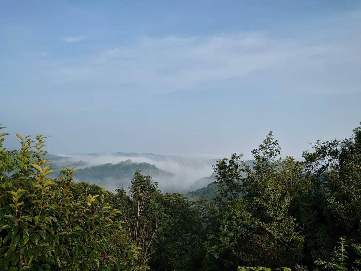 木野山キャンプ場 - 