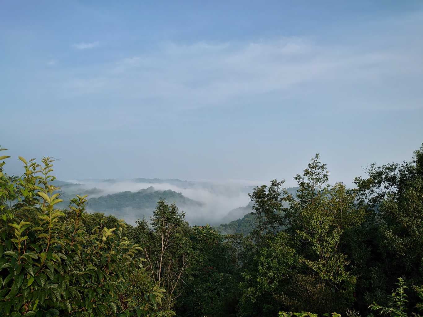 木野山キャンプ場