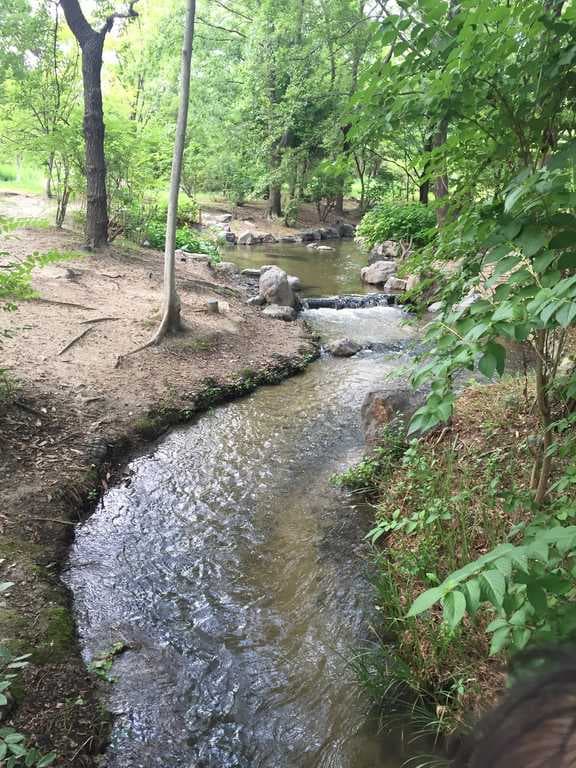 花博記念公園鶴見緑地キャンプ場