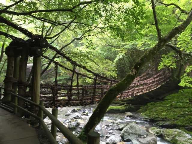 奥祖谷二重かずら橋キャンプ場 - キャンプ場へのかずら橋