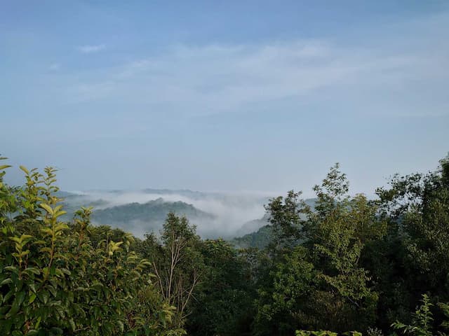 木野山キャンプ場