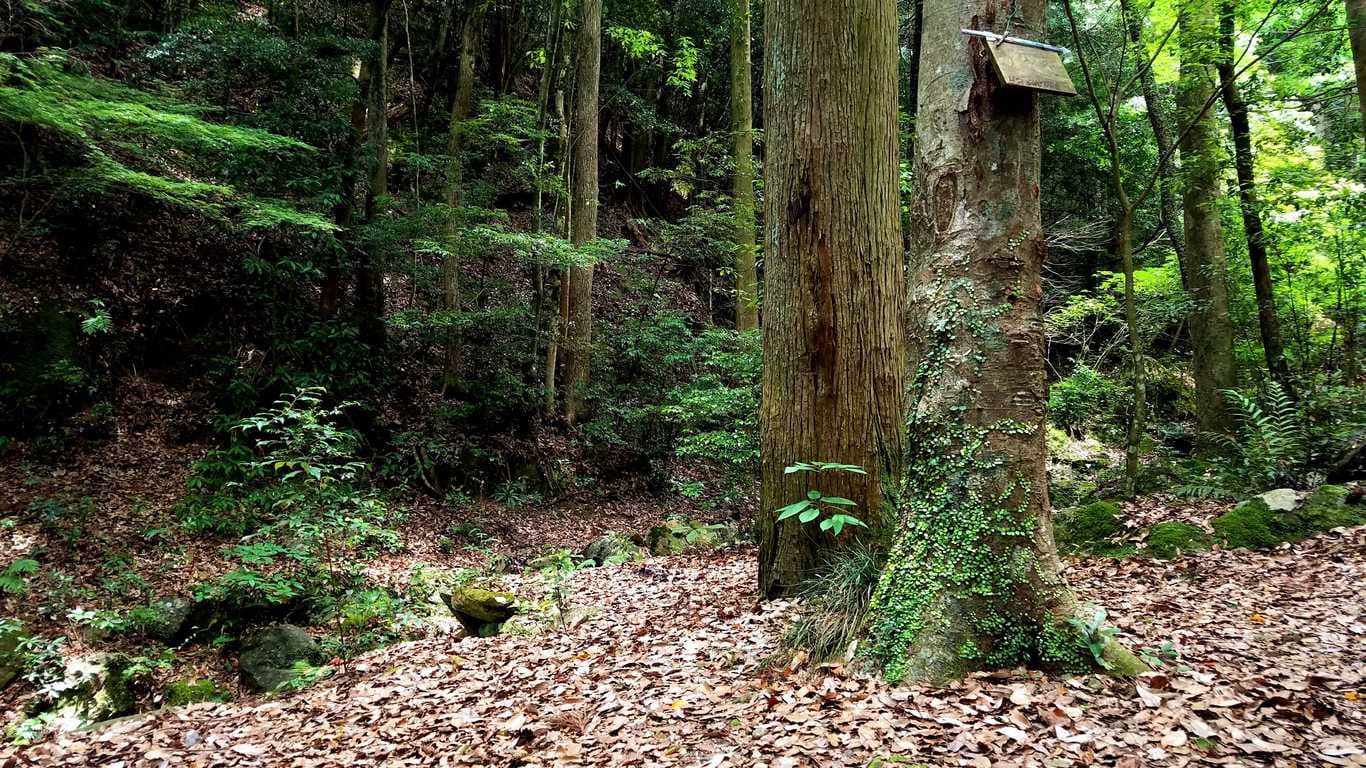 【R2/3現在休止中】有田町白川キャンプ場