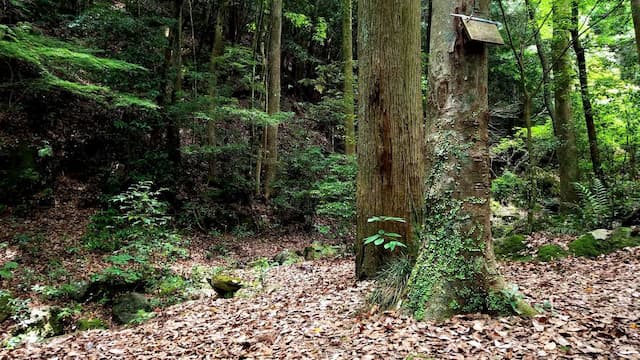 【R2/3現在休止中】有田町白川キャンプ場 - undefined