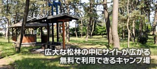 グリーンパークおおしま - 広大な松林の中にサイト広がる　無料で利用できるキャンプ場