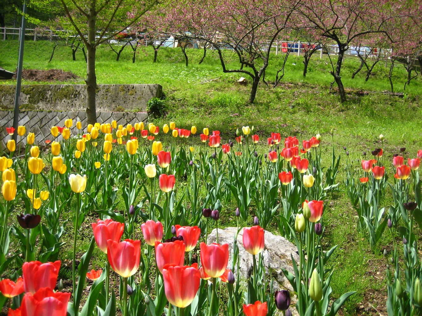 【R3/12現在休業中】川和自然公園キャンプ場