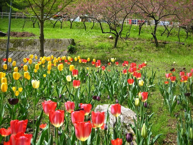 【R3/12現在休業中】川和自然公園キャンプ場