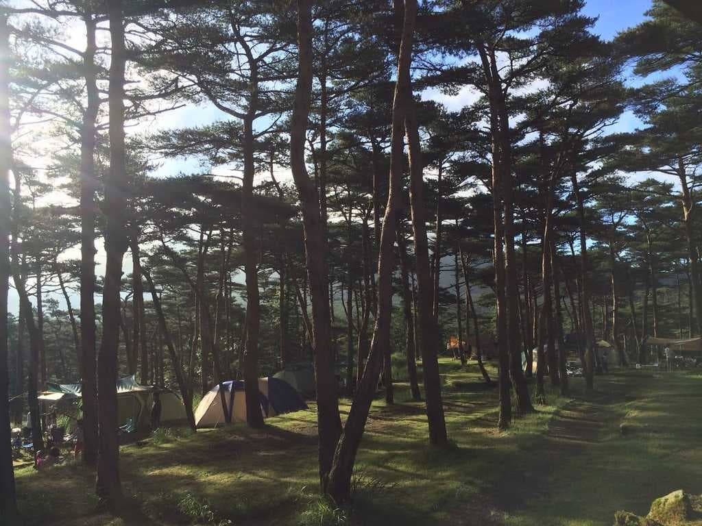 えびの高原キャンプ村 - シカもいる、小川が流れるキャンプ場！