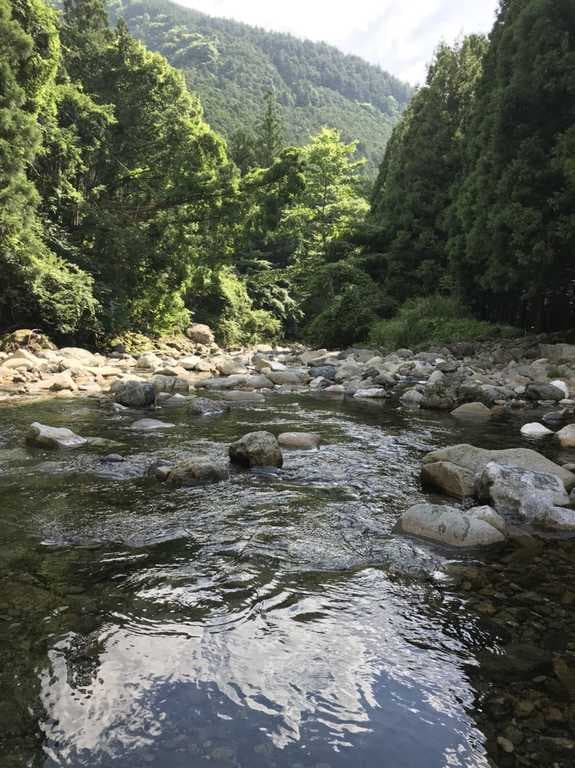 松林・山上川オートキャンプ場 - オートサイトには全区画AC付きで快適