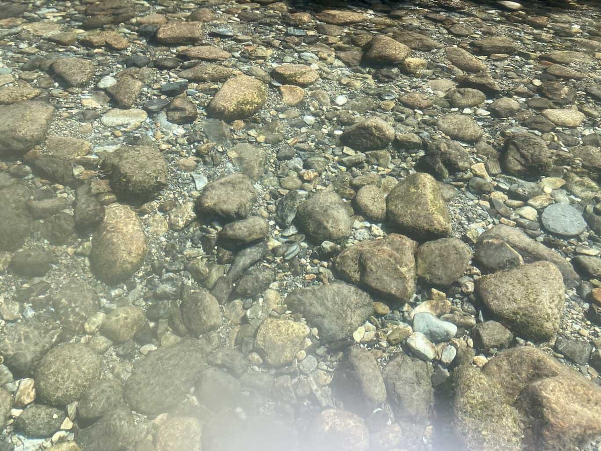 南日裏家族旅行村 - 目の前に広がる、清らかな浅瀬の川と大自然が自慢です。