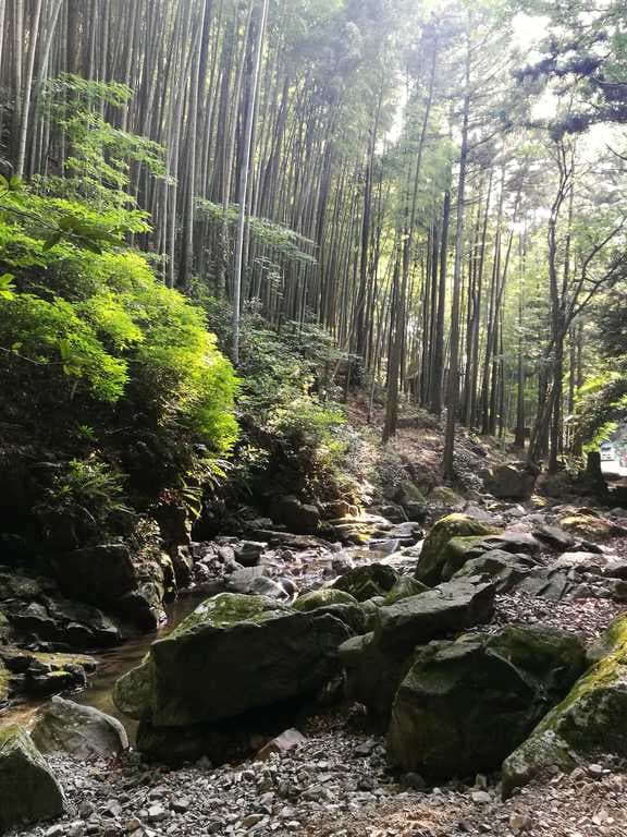 竜王峡キャンプ村 - 場内に滝がある竹林のキャンプ場