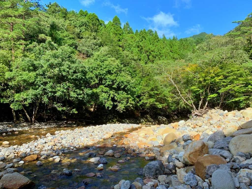 藤河内渓谷キャンプ場 - 豊かな自然のなかで森林浴。