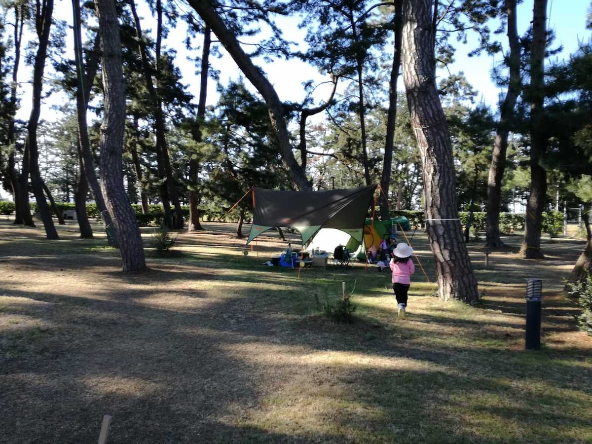 日吉津村役場 海浜運動公園キャンプ場 - ～整備された運動公園～スポーツとキャンプどちらも楽しめる