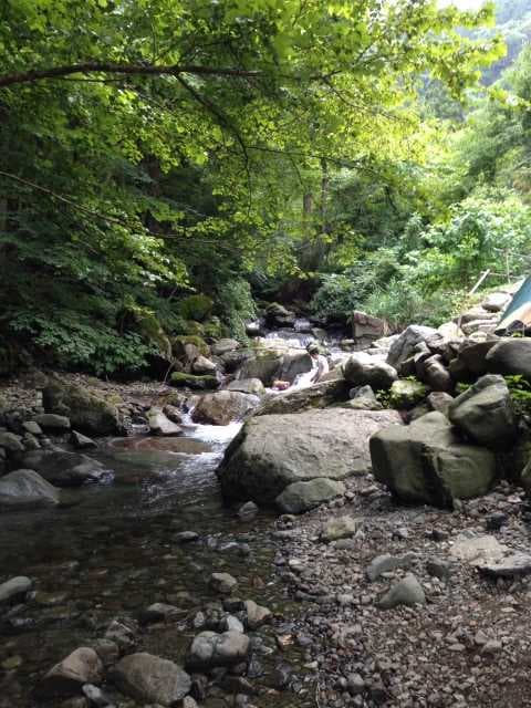 高瀬野キャンプ場 - 道志川渓流の大自然に囲まれたキャンプ場